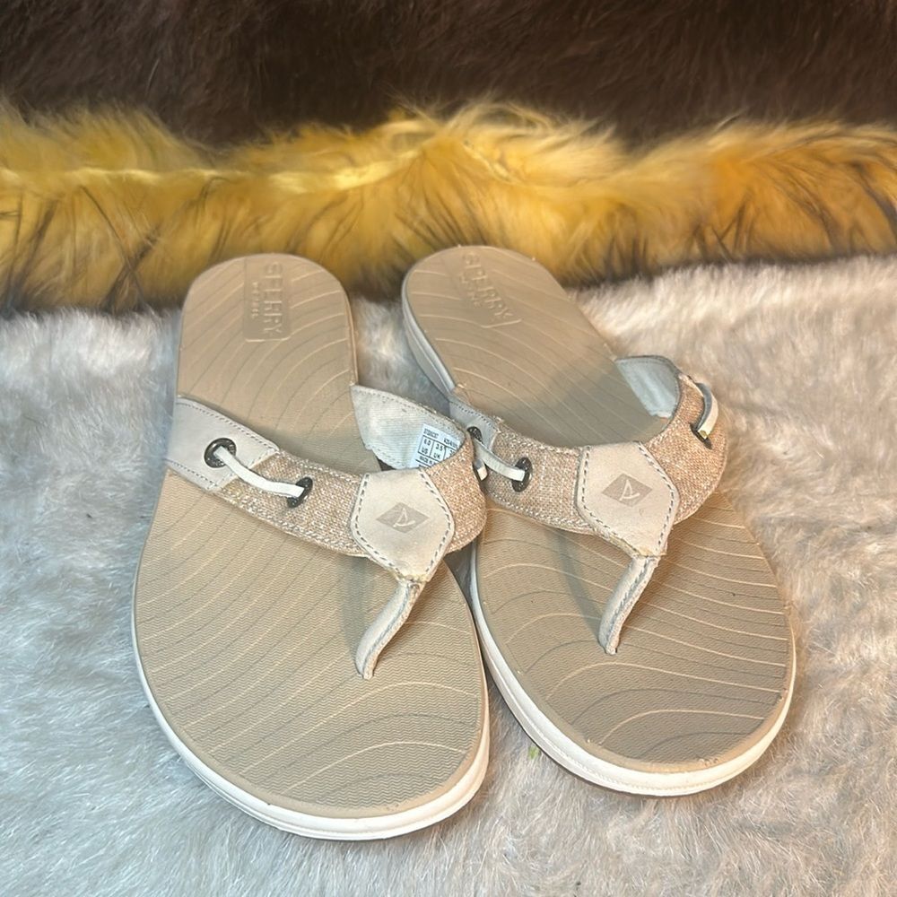 Sperry shoes 6 (4800)